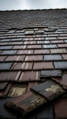 Dilapidated Rooftop Shingles Weathered Texture Detailed Close-up