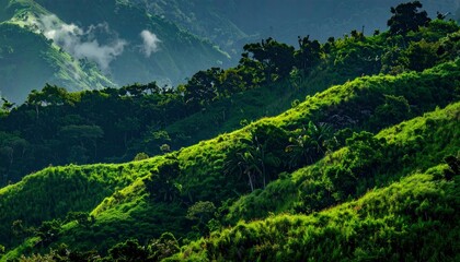 Lush green mountains with trees and beautiful scenery