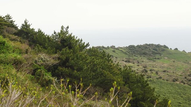 Jeju-do, Seongsan Ilchulbong  landscape, volcanic tuff cone, Sunrise peak, Jeju Island, South Korea, Seongsan-ri, Seogwipo, Jeju Province landscape view in a sunny day, with sea, cliffs hiking trail