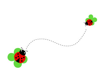 かわいいてんとう虫の親子