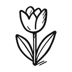 PNG Hand-drawn tulip line art