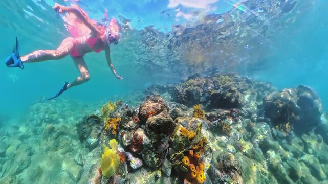 Woman in a pink bikini and blue fins snorkeling underwater in Martinique, exploring vibrant coral formations and marine life in the clear blue waters of anse Figuier beach of the Caribbean of France