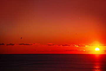 Sunrise paints the sky in striking shades of orange and red. Sun dips low over a tranquil ocean, completing the serene sunset scene