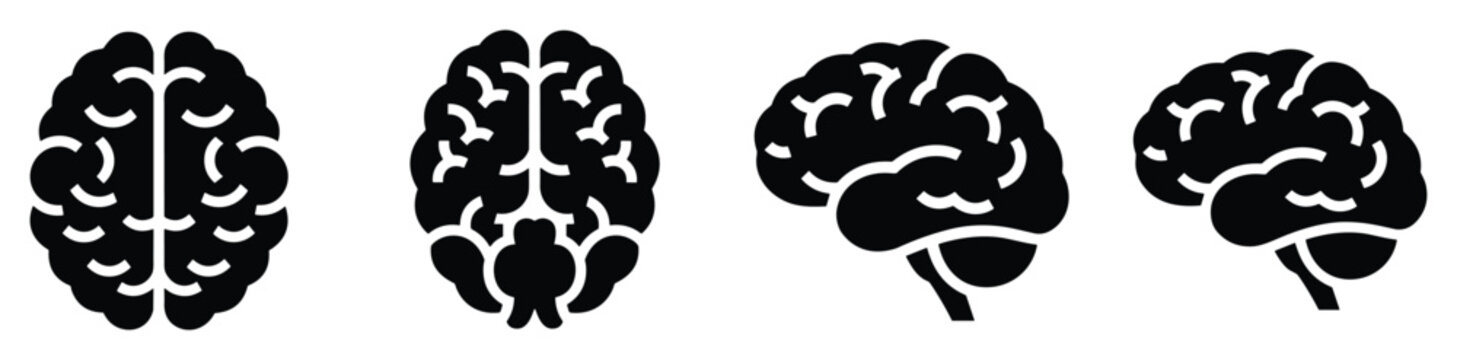 Anatomical human brain icons with front side top view detailed structure central nervous system