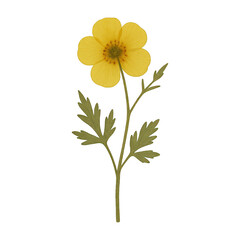 Fototapeta premium PNG Yellow flower with green leaves