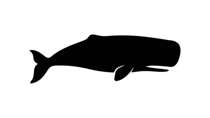 Obraz premium Minimalist silhouette of a whale in a flat design on a white background