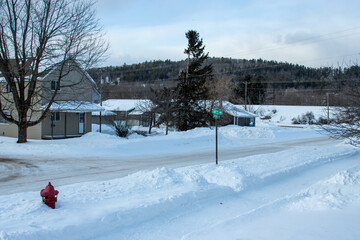 A residential neighborhood on a sunny winter day in Michigan
