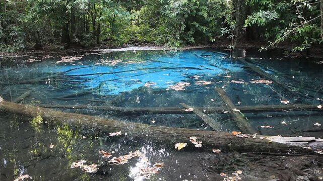 The emerald pool or Sra Morakot at the Prabangkram wildlife safety park (Krabi, Thailand).Blurred view.