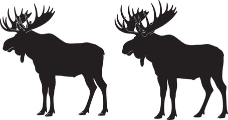 Silhouette of two moose standing side by side