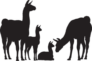 Silhouette of llamas and alpacas family group