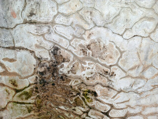 Weathered Concrete Surface with Cracks and Stains