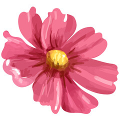 Naklejka premium Pink cosmos png watercolor flower, transparent background