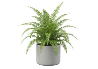 Obraz premium Artificial Fern in Pot - A Touch of Greenery for Your Home.