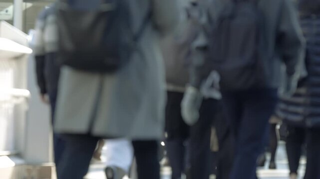 Rear view of professionals walking towards a Tokyo railway station entrance path.