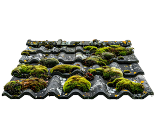 Detailed view of a weathered rooftop with vibrant green moss clusters
