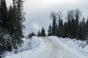 Fototapeta premium Canada, Quebec, 05 December 2025 : Snowy forest road winding through winter pine trees under cloudy sky