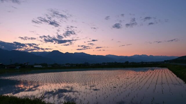長野県安曇野市　夕焼けの北アルプスと有明山　水田に映る美しい水鏡の風景