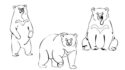 ツキノワグマの線画