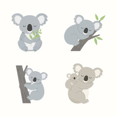 Australian Koala Bear Cartoon Vector Illustration © Anang