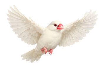 Obraz premium White java sparrow bird flying with wings spread, symbolizing freedom, peace, hope, and new beginnings on transparent background