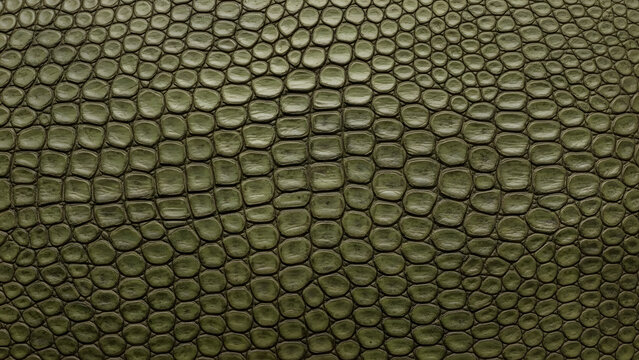 Close-up of a textured reptile skin pattern in shades of green and brown.