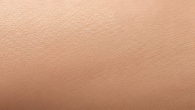 Close-up of human skin texture with subtle variations and natural tones.