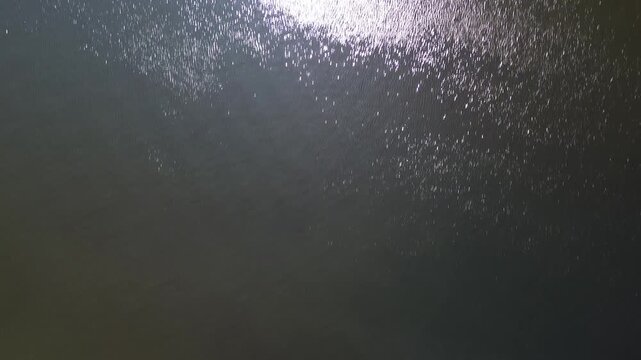 Complejo Turistico El Morro - Lecher&iacute;a - Venezuela 