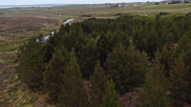 Drone shot of a pine forest tilting to show the Gress river and Back village.