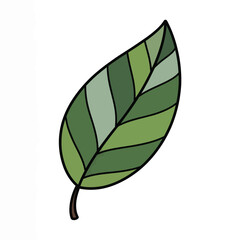 Simple green leaf illustration