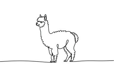 Naklejka premium One Line Drawing of a Fluffy Alpaca Standing Minimalist Animal Illustration