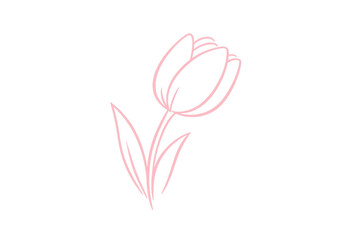 Pink tulip line art drawing, botanical floral illustration for spring design elements, transparent background