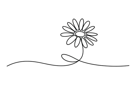 Simple continuous line drawing of a daisy flower with a looped stem detail