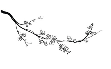 Minimalist continuous line illustration of a flowering branch for organic cosmetic branding © StockSynergy