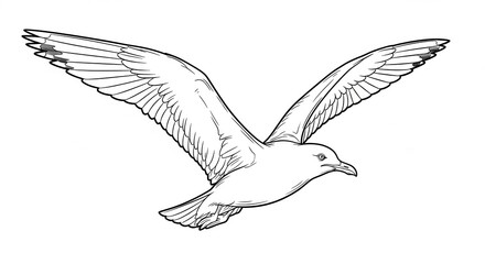 Fototapeta premium Detailed Sketch of a Seagull in Flight with Open Wings.