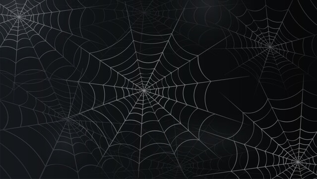 Dark spider web background with detailed cobweb pattern