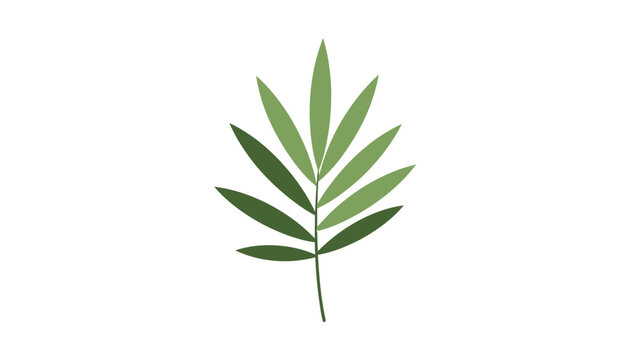 Green Leaf with Multiple Leaflets.