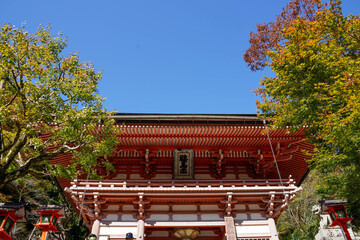 鞍馬寺境内の赤く色づいた楓
