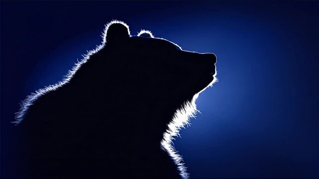 A silhouette of a bear against a vibrant blue backdrop. Its fur has a distinctive, illuminated edge