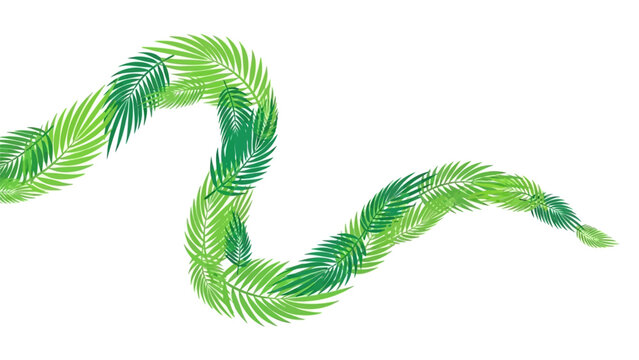 Green Centipede Worm on White Background.