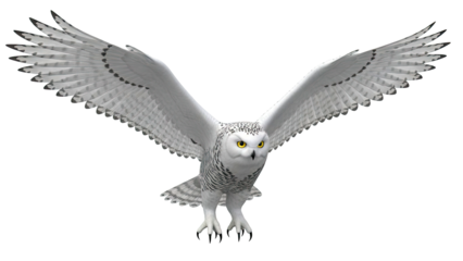 Snowy Owl in Flight