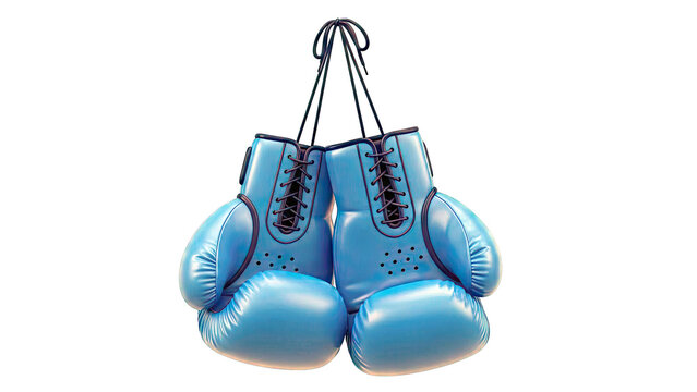 Pair of Blue Boxing Gloves Hanging