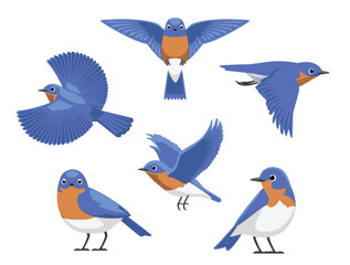 Eastern Bluebird Cute Various Poses Cartoon Vector Character