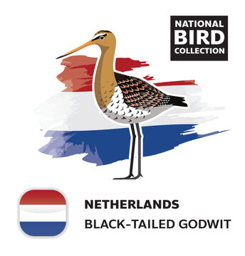 National Bird Set Netherlands Black-Tailed Godwit Vector Character