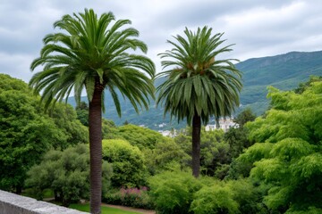 Obraz premium Two palm trees in a lush park landscape