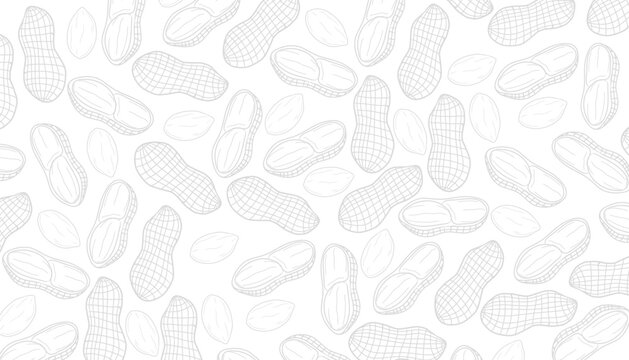 Peanut Seamless Pattern Hand Drawn Outline Minimal Background