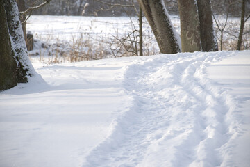A snowy path winds through trees in a winter landscape with fresh tracks