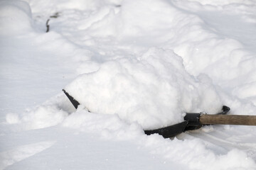 Shovel full of snow, ready to clear winter drifts and pathways