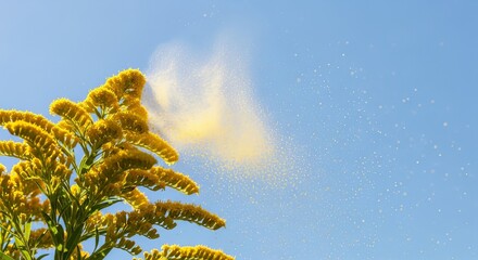 Yellow flowers releasing flying pollen against a clear blue sky, a vibrant visual for the seasonal allergies and outdoor discomfort concept