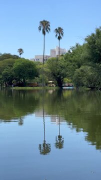 Vertical 9:16 view of palm trees and green vegetation reflecting in the calm water of the lake at Redencao Park (Parque Farroupilha) in Porto Alegre, Brazil.