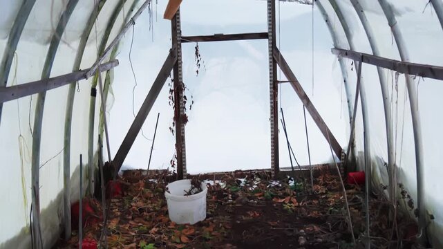 Winter polytunnel interior with leaf-covered soil beds, bucket and empty pots, showing off-season homestead prep, old rural lifestyle, and garden cleanup.